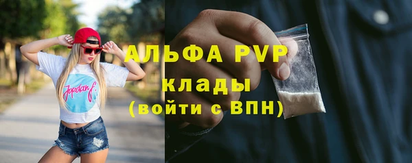 apvp Богданович