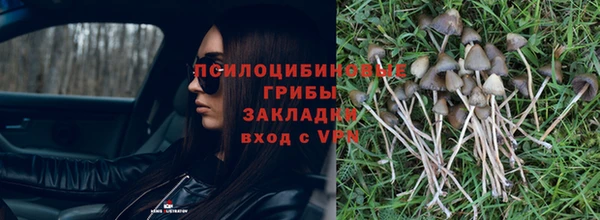 крисы Белокуриха