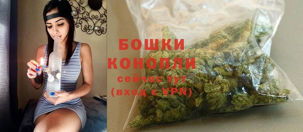 крисы Белокуриха