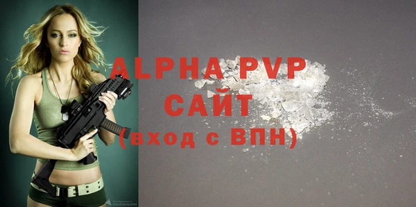 сатива Беломорск